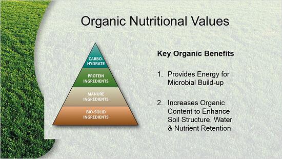 Organic_Nutrional_Values